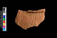 藏品(繩紋腹片)的圖片