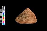 藏品(繩紋腹片)的圖片