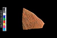 藏品(繩紋腹片)的圖片