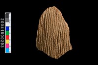 藏品(繩紋腹片)的圖片