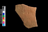 藏品(繩紋腹片)的圖片