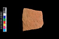 藏品(繩紋腹片)的圖片