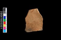 藏品(繩紋腹片)的圖片