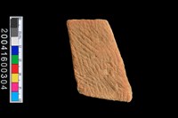 藏品(繩紋腹片)的圖片