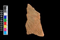 藏品(繩紋腹片)的圖片