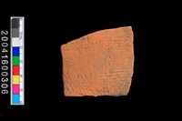 藏品(繩紋腹片)的圖片