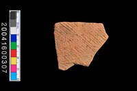 藏品(繩紋腹片)的圖片