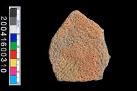 藏品(繩紋腹片)的圖片