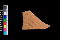 藏品(繩紋腹片)的圖片