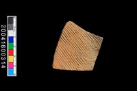 藏品(繩紋腹片)的圖片