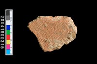 藏品(繩紋腹片)的圖片