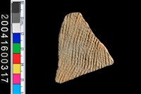 藏品(繩紋腹片)的圖片