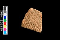 藏品(繩紋腹片)的圖片