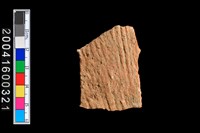 藏品(繩紋腹片)的圖片