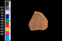 藏品(繩紋腹片)的圖片