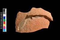 藏品(圈足)的圖片