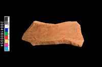 藏品(頸折殘件)的圖片