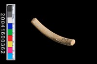 藏品(陶環)的圖片