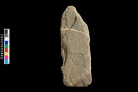 藏品(磨製石斧)的圖片