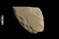 藏品(打製石斧)的圖片