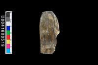 藏品(玉錛)的圖片