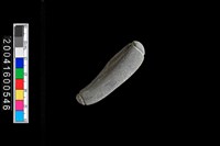 藏品(石網墜)的圖片