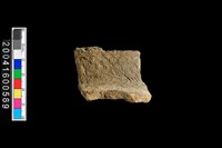 藏品(頸折)的圖片