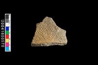 藏品(頸折)的圖片