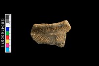 藏品(頸折)的圖片