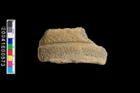 藏品(頸折)的圖片