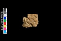 藏品(有紋腹片)的圖片