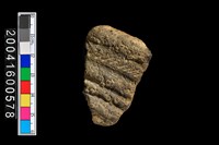 藏品(有紋腹片)的圖片