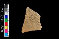 藏品(有紋腹片)的圖片