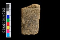 藏品(有紋腹片)的圖片