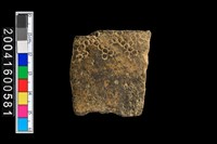 藏品(有紋腹片)的圖片