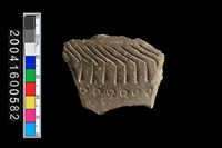 藏品(有紋腹片)的圖片