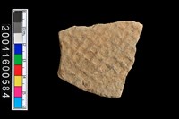 藏品(有紋腹片)的圖片