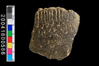 藏品(有紋腹片)的圖片