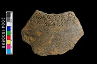 藏品(有紋腹片)的圖片