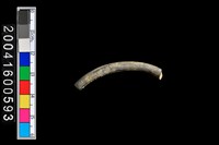 藏品(陶環)的圖片