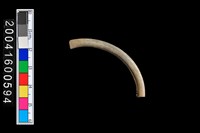 藏品(陶環)的圖片