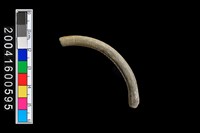 藏品(陶環)的圖片