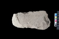 藏品(打製石斧)的圖片