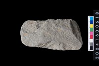 藏品(打製石斧)的圖片