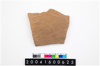 藏品(腹片)的圖片