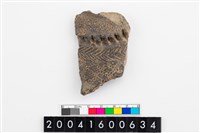 藏品(頸折)的圖片