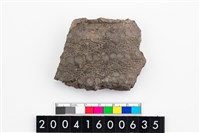 藏品(頸折)的圖片