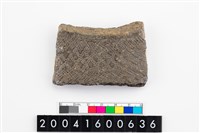 藏品(頸折)的圖片