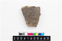 藏品(頸折)的圖片