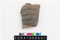 藏品(頸折)的圖片